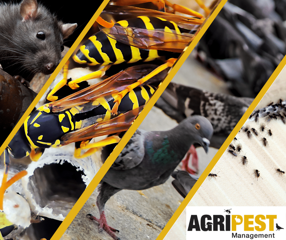 Why Choose AgriPest Management - AgriPest